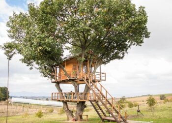 Kjo shtëpizë e bukur në pemë nuk është në filma, por në Rahovicë të Ferizajt