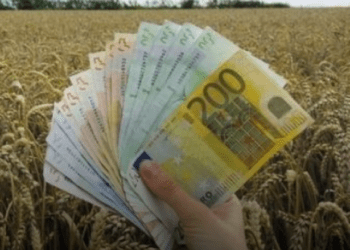 Lajm i mirë për bujqit, fillon pagesa e subvencioneve