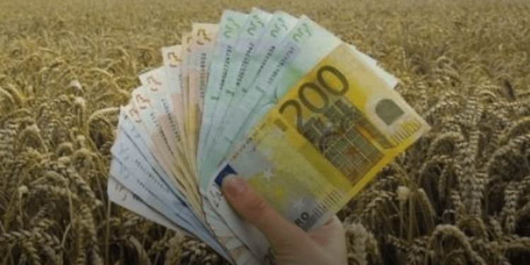 Lajm i mirë për bujqit, fillon pagesa e subvencioneve
