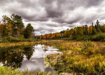 Moti nesër dhe ditëve në vazhdim! (31.10.2020.) E Shtunë