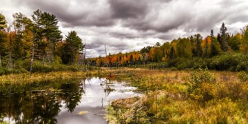 Moti nesër dhe ditëve në vazhdim! (31.10.2020.) E Shtunë