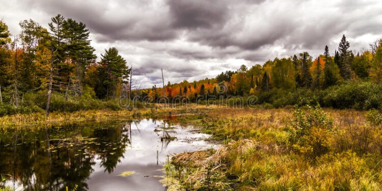 Moti nesër dhe ditëve në vazhdim! (31.10.2020.) E Shtunë