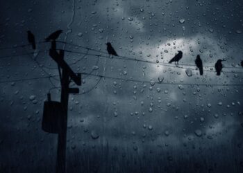 Moti nesër dhe ditëve në vazhdim! (25.10.2020.) E Diele