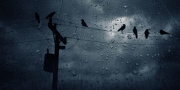 Moti nesër dhe ditëve në vazhdim! (25.10.2020.) E Diele