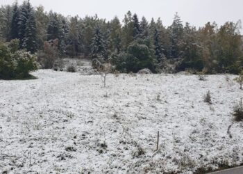 Zbardhet fqinji ynë verior!