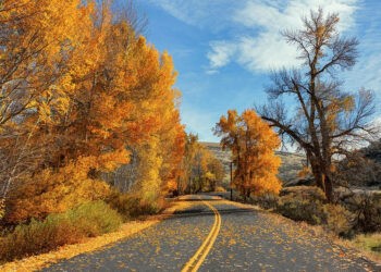 Moti nesër dhe ditëve në vazhdim! (19.10.2020.) E Hënë