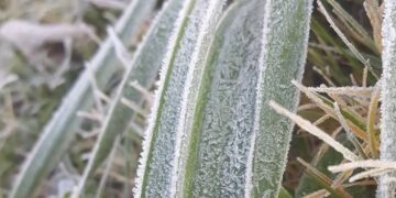 Moti për ditën e sotme