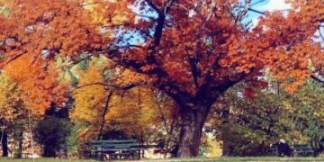 Moti nesër dhe ditëve në vazhdim! (11.11.2020.) E Mërkurë