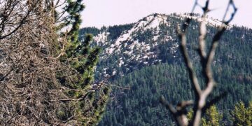 Moti për ditën e sotme