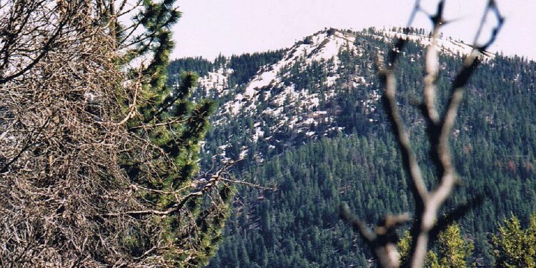 Moti për ditën e sotme