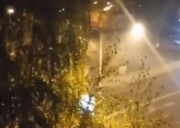 Si reaguan kafshët e Kopshtit Zoologjik në Shkup gjatë tërmetit të fuqishëm (Video)