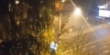 Si reaguan kafshët e Kopshtit Zoologjik në Shkup gjatë tërmetit të fuqishëm (Video)