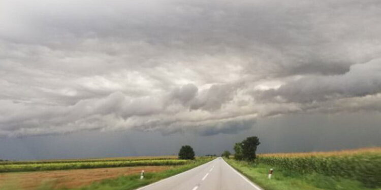 Moti për ditën e sotme