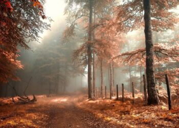 Moti për ditën e sotme