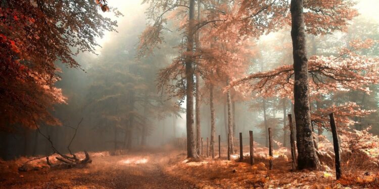 Moti për ditën e sotme