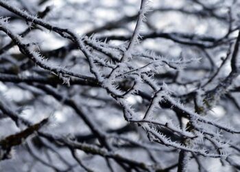 Moti për ditën e sotme