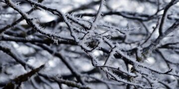 Moti për ditën e sotme