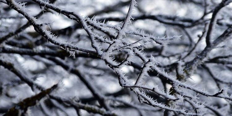 Moti për ditën e sotme