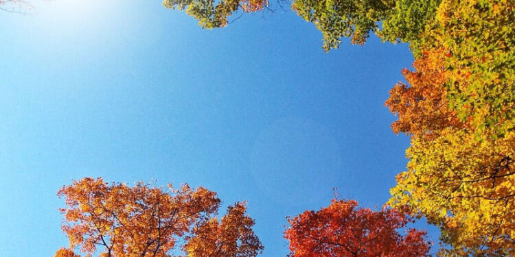 Moti nesër dhe ditëve në vazhdim! (23.11.2020.)