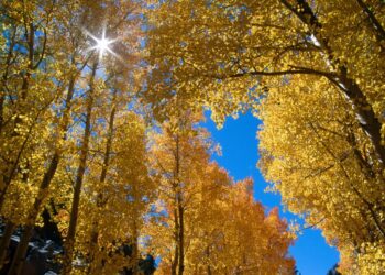 Moti nesër dhe ditëve në vazhdim! (02.11.2020.)E Hënë