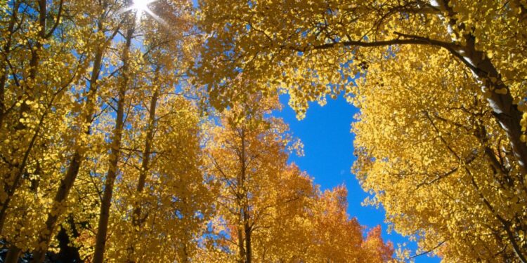 Moti nesër dhe ditëve në vazhdim! (02.11.2020.)E Hënë