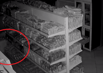 Tërmeti i sotëm, pamje nga një dyqan në Tetovë! (Video)