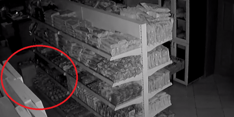 Tërmeti i sotëm, pamje nga një dyqan në Tetovë! (Video)