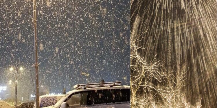 Kosova mbulohet nga bora