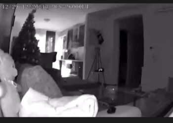 Tërmeti në Kroaci pamje të kapura nga kamerat e sigurisë!