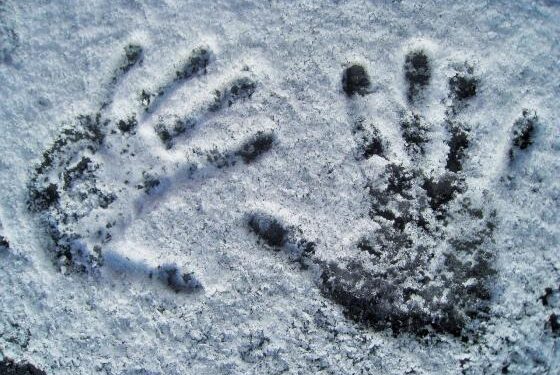 Si ngrin trupi i njeriut deri në vdekje