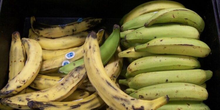 Në vitin 2021 mund të mos kemi banane në tavolinë, shpërthimi i vullkanit shkatërroi plantacionet e eksportuesit më të madh në botë