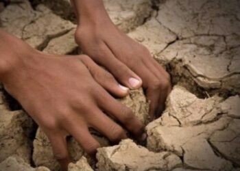 Bota duhet të shpallë emergjencë klimatike, thotë OKB-ja