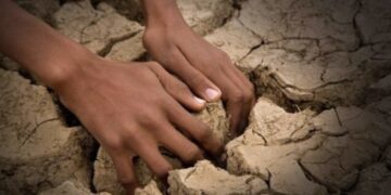 Bota duhet të shpallë emergjencë klimatike, thotë OKB-ja