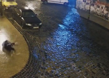 Kjo video i bëri më shumë se 11 milionë njerëz të qeshnin