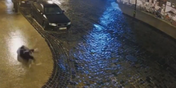 Kjo video i bëri më shumë se 11 milionë njerëz të qeshnin