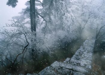 Moti nesër dhe ditëve në vazhdim! (27.12.2020.) E Diele