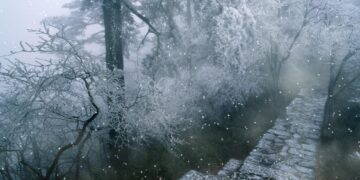 Moti nesër dhe ditëve në vazhdim! (27.12.2020.) E Diele