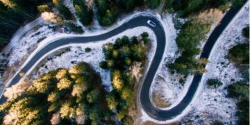 Veprat njerëzore peshojnë më shumë se të gjithë gjallesat në Tokë!