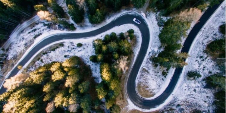 Veprat njerëzore peshojnë më shumë se të gjithë gjallesat në Tokë!