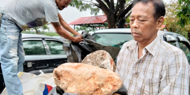 Peshkatari i varfër bëhet milioner, gjen në plazh jashtëqitjen “e paçmueshme” të balenës