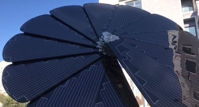 “Lulja inteligjente” në Shkodër, çel automatikisht sa dalin rrezet e diellit