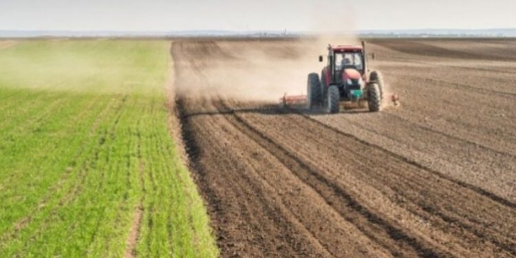 Rreth 2500 vende të reja të punës paralajmërohen nga Ministria e Bujqësisë!