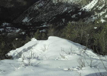 Moti nesër dhe ditëve në vazhdim! (15.12.2020.) E Martë