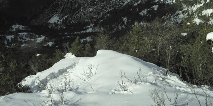 Moti nesër dhe ditëve në vazhdim! (15.12.2020.) E Martë
