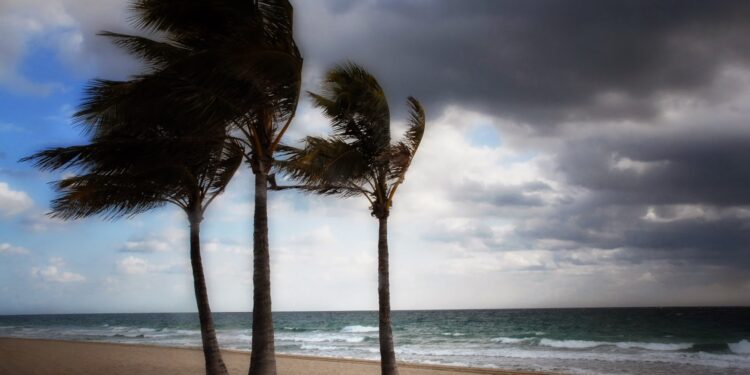 Moti nesër dhe ditëve në vazhdim! (28.12.2020.) E Hënë