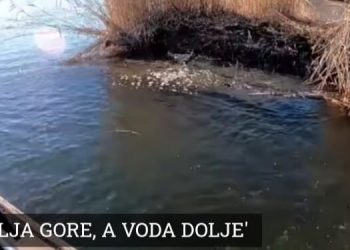 Një peshkatar afër Petrinjës ndodhet në liqen kur bëhet dëshmitar i tërmetit prej 6.4 shkallë Rihter!