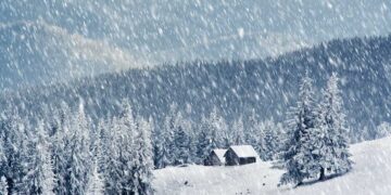 Vijnë reshjet e bores!