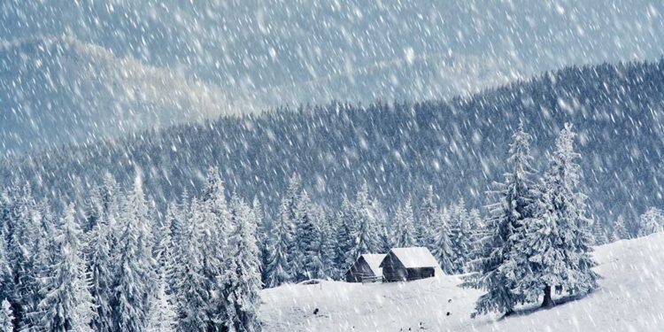 Vijnë reshjet e bores!