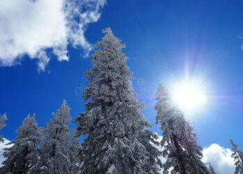 Moti nesër dhe ditëve në vazhdim! (23.12.2020.) E Mërkurë