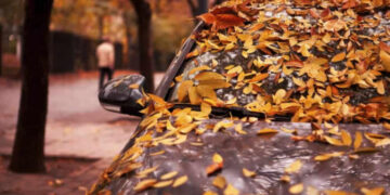 Çfarë i bëjnë gjethet makinës, nëse e lini gjithë ditën me to